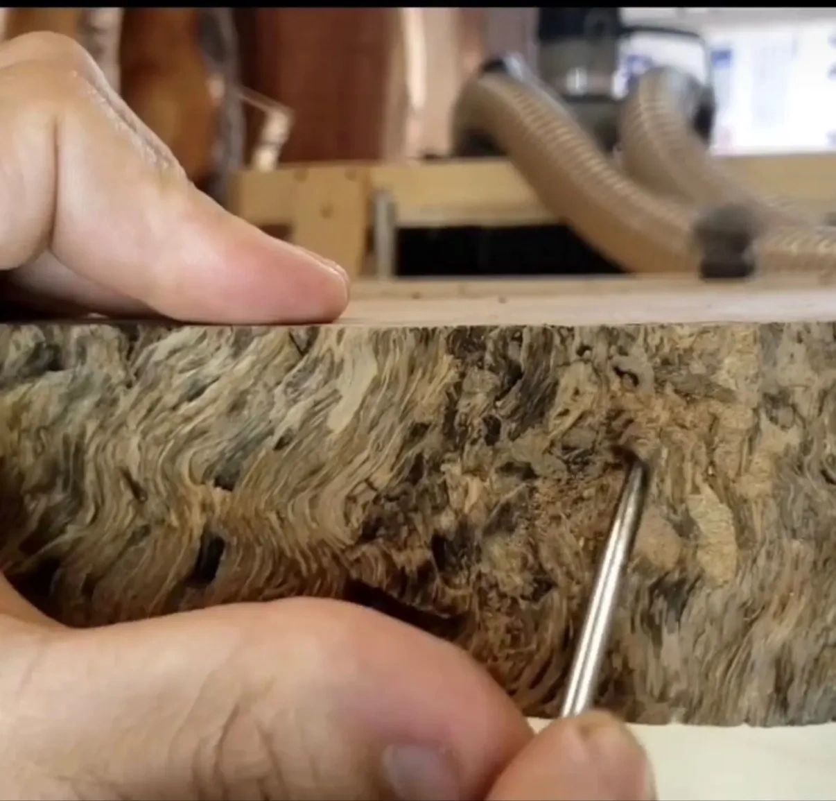 Craftsman examining wood grain texture