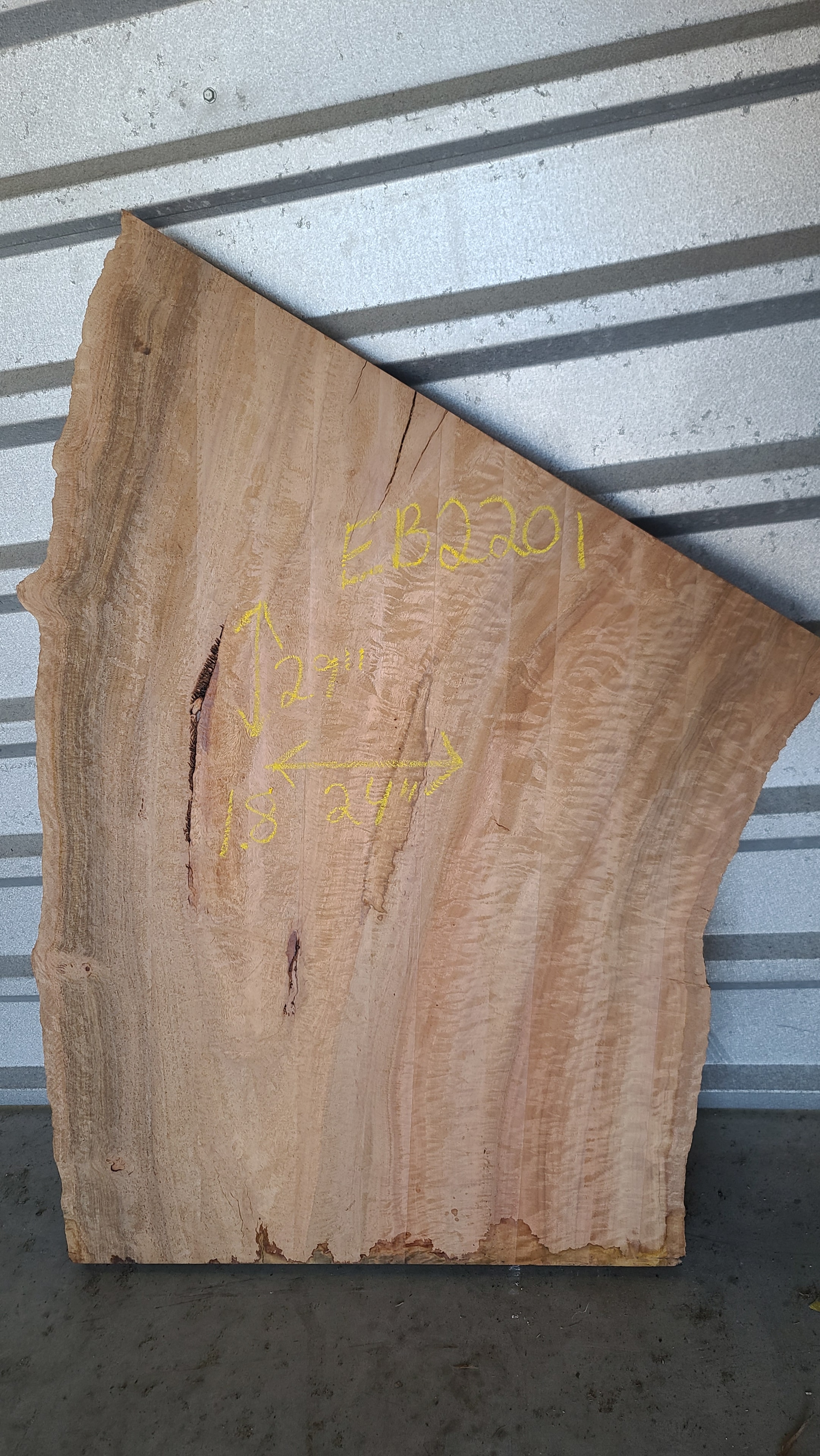 Eucalyptus (Brown) slab