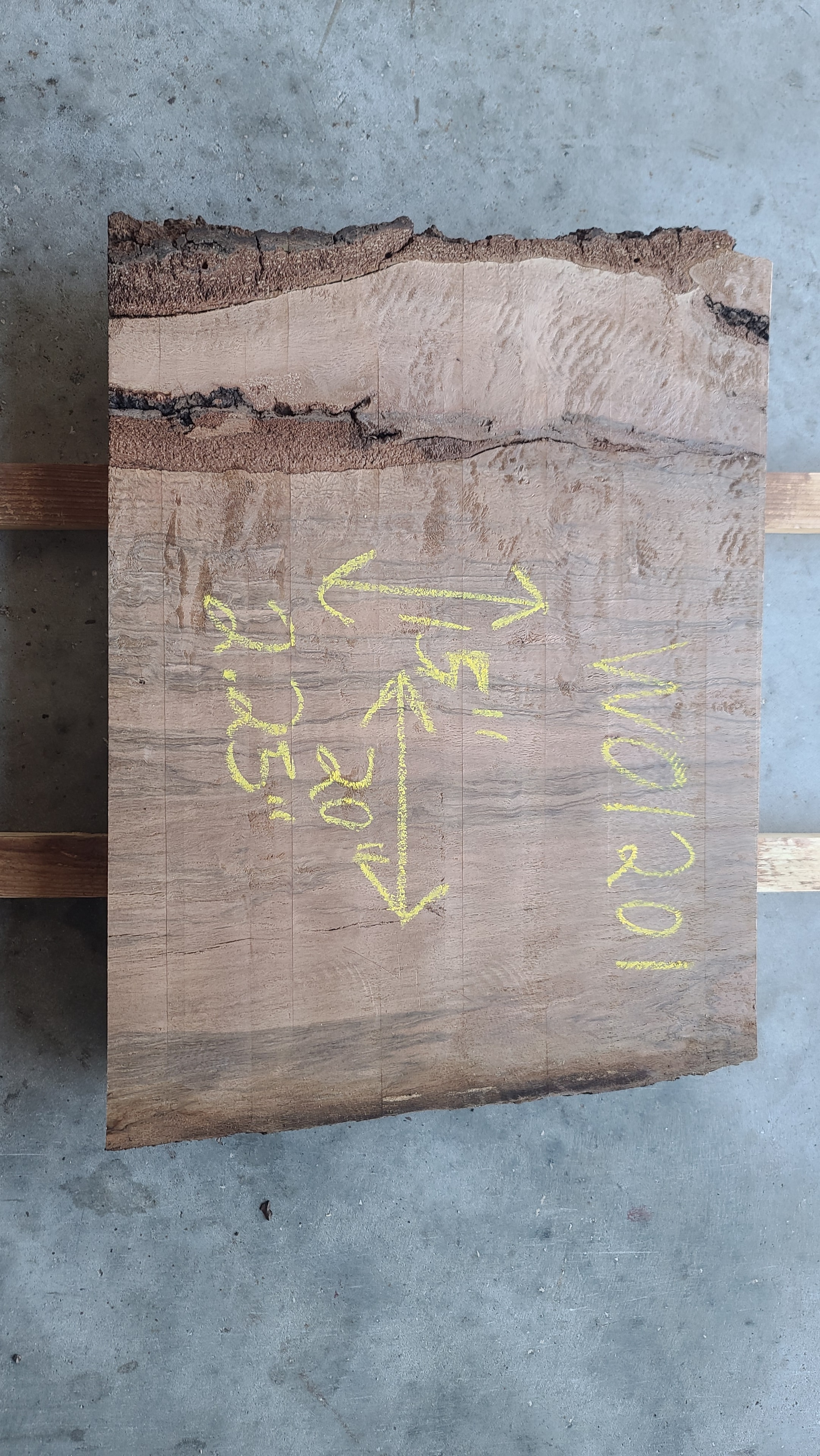 Water Oak slab